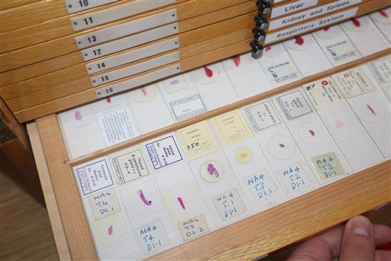 A wooden slide cabinet with selection of human biological slides